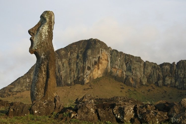 easter island moai statue
