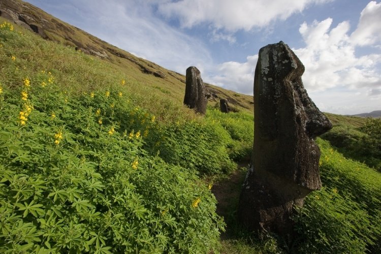 easter island view with moai and hill