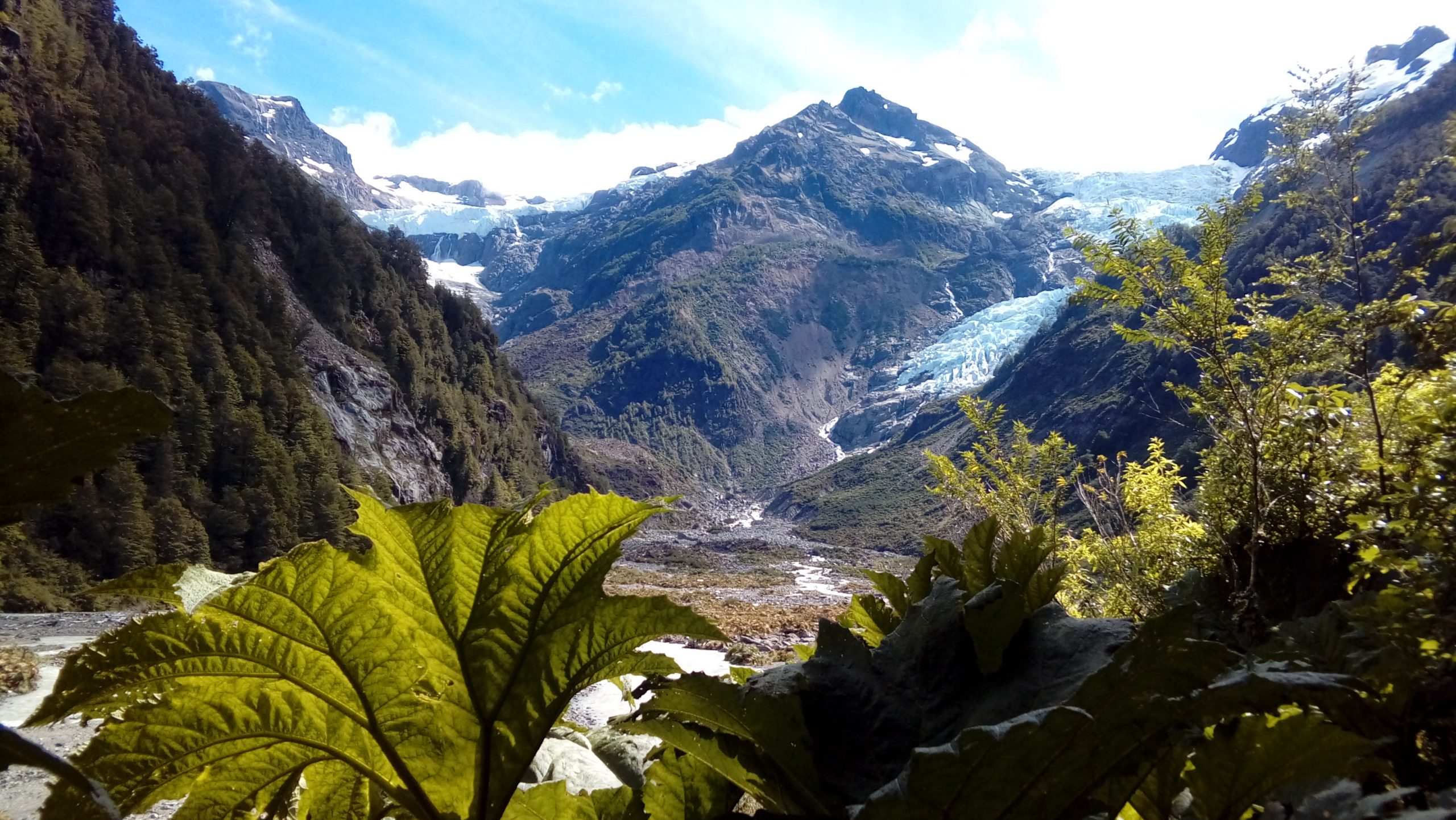 Travel to the South of Chile