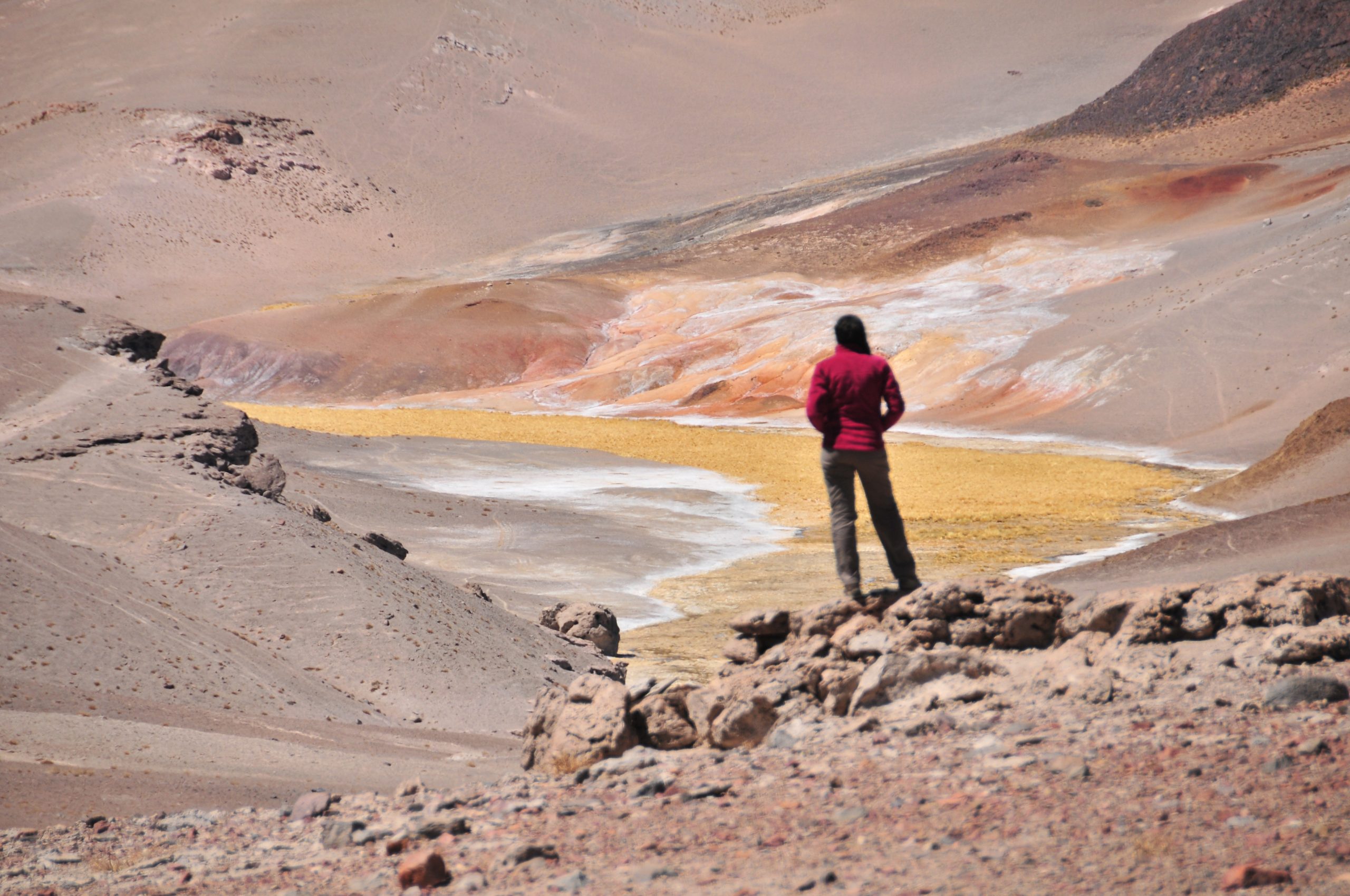 National Park Llullaillaco in Chile