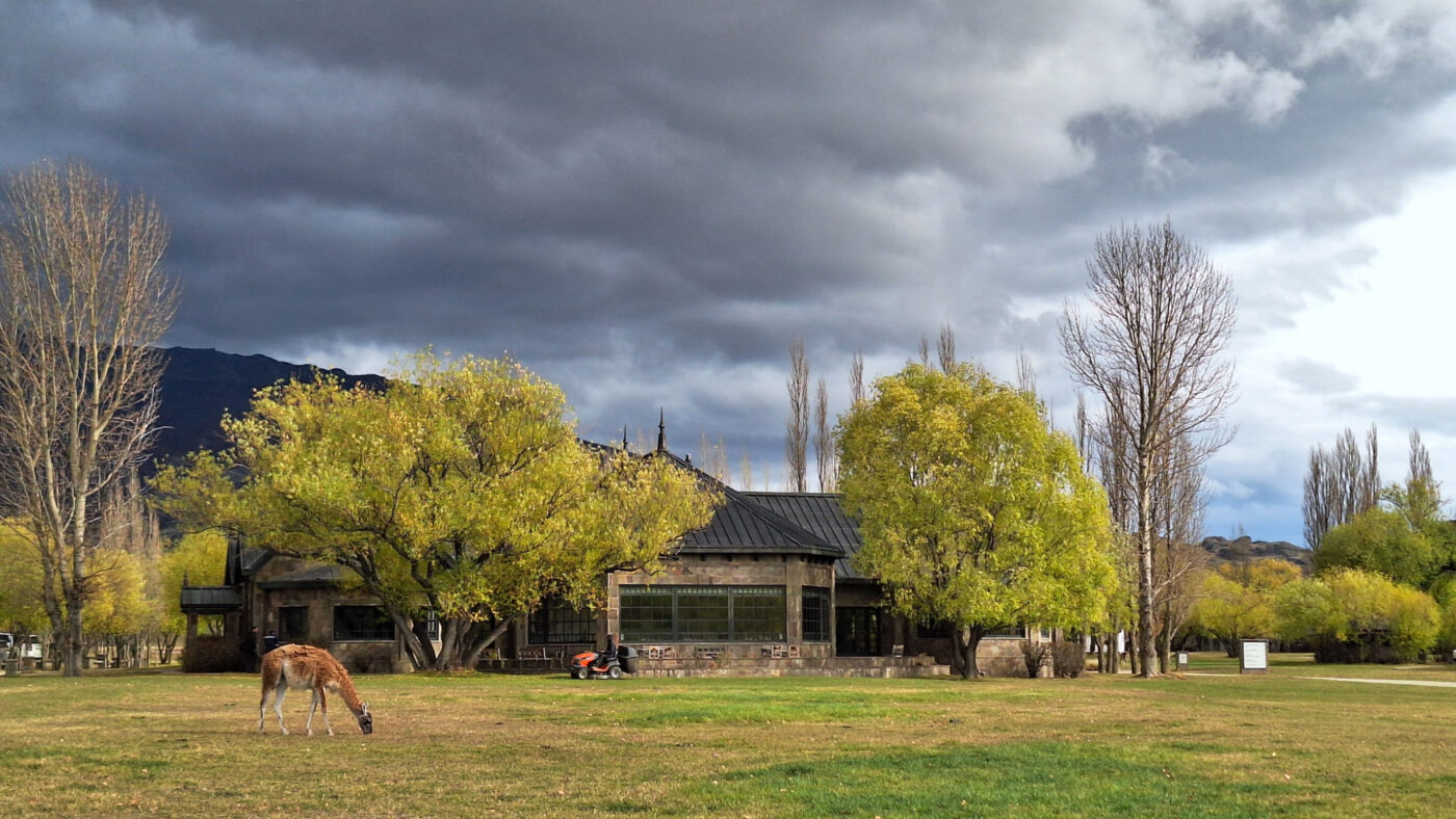 Explora Patagonia Lodge mit einem Guanaco