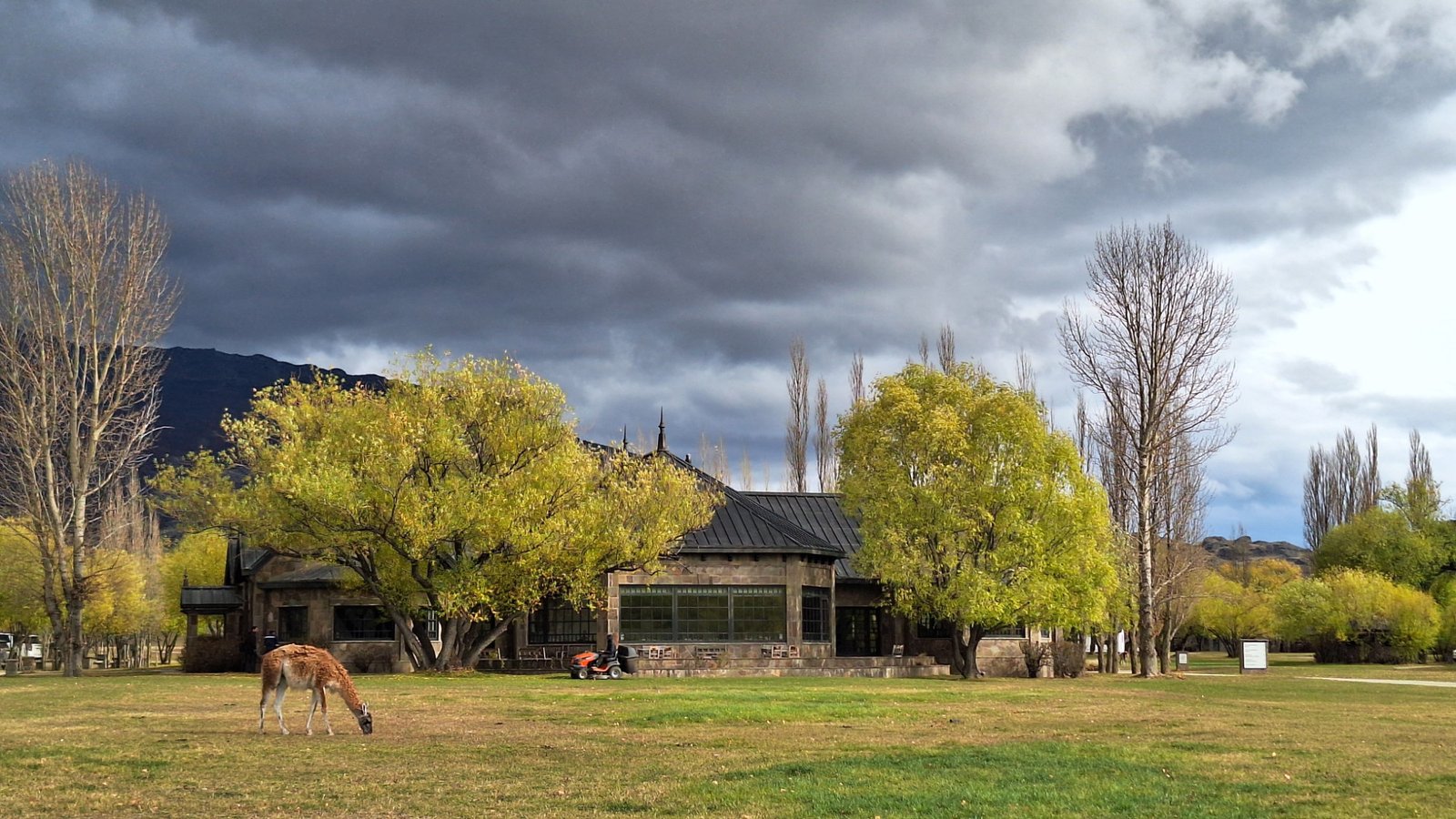 Explora Patagonia Lodge mit einem Guanaco