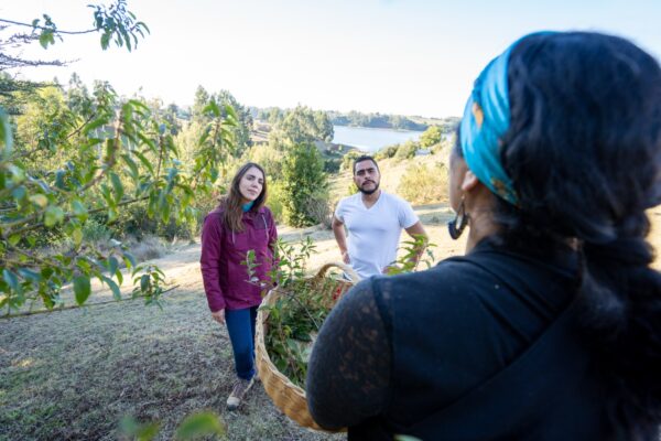 Actividad de exploración en un jardín medicinal mapuche